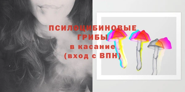 амф Липки