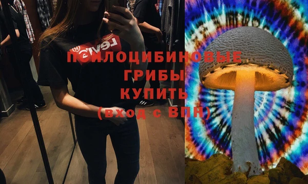 скорость Лиски