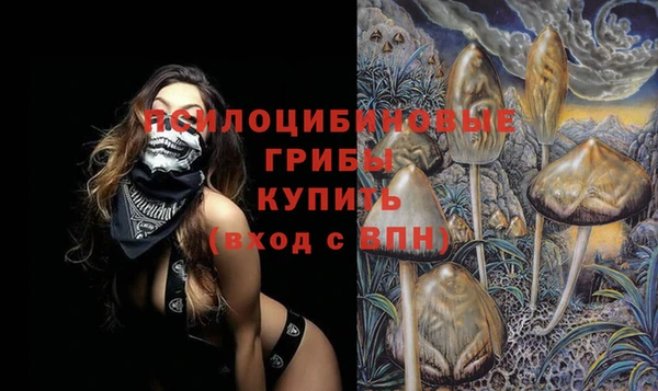 амф Липки