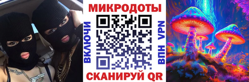 Псилоцибиновые грибы GOLDEN TEACHER  Купить закладки  Хилок 